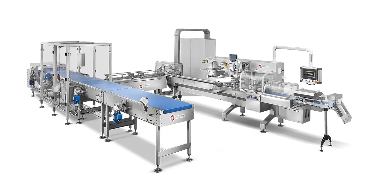 Flow Wrapping Machine - Delfin